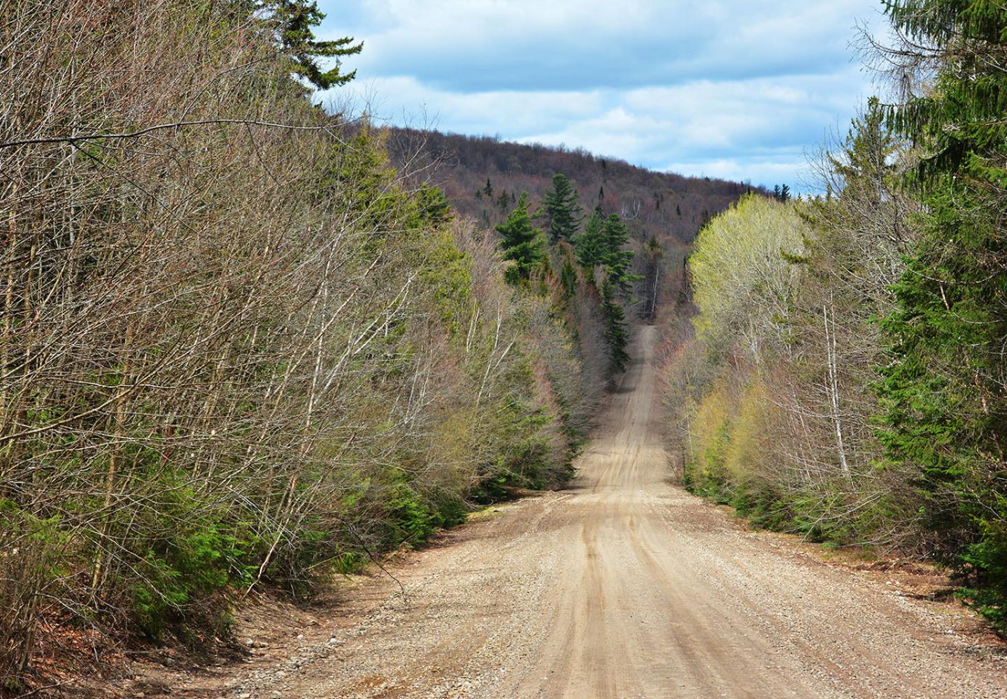 Franklin County has fabulous road and gravel options. 
