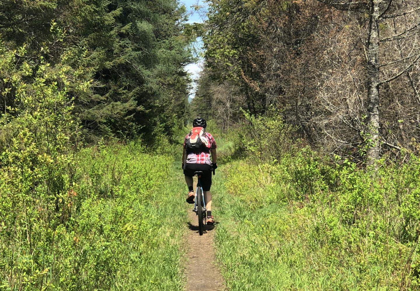 The author rides the Bloomingdale Bog Trail near the start of his 23-mile gravel-bike ride.