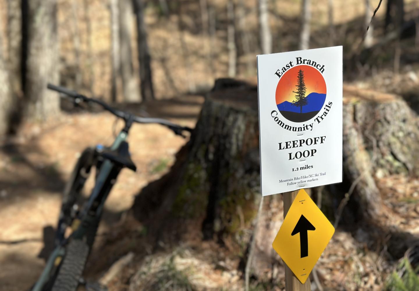 New trails are planned for the Barkeater Trails Alliance network in Keene and Elizabethtown