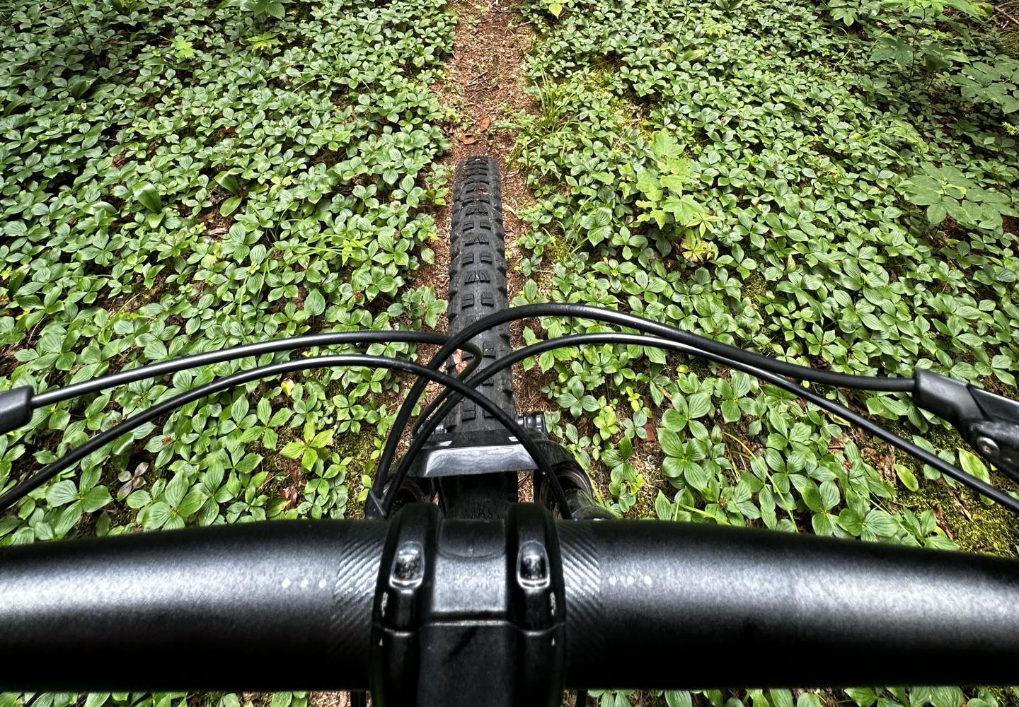 Imagining an off-road way to travel by bike from Keene to Saranac Lake.