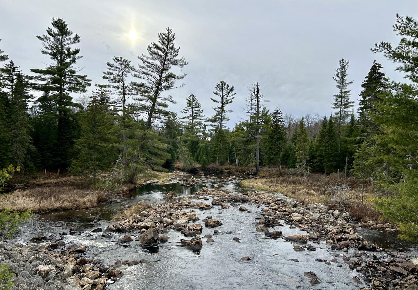 Amazing views from the bridge over the Grasse River.