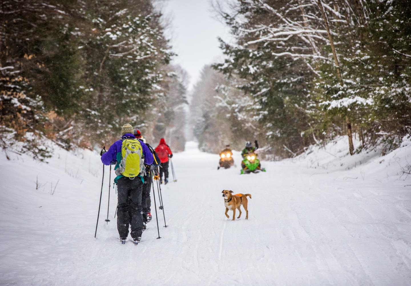 Join the March 14 Rail Trail Rally and Raffle in Saranac Lake.