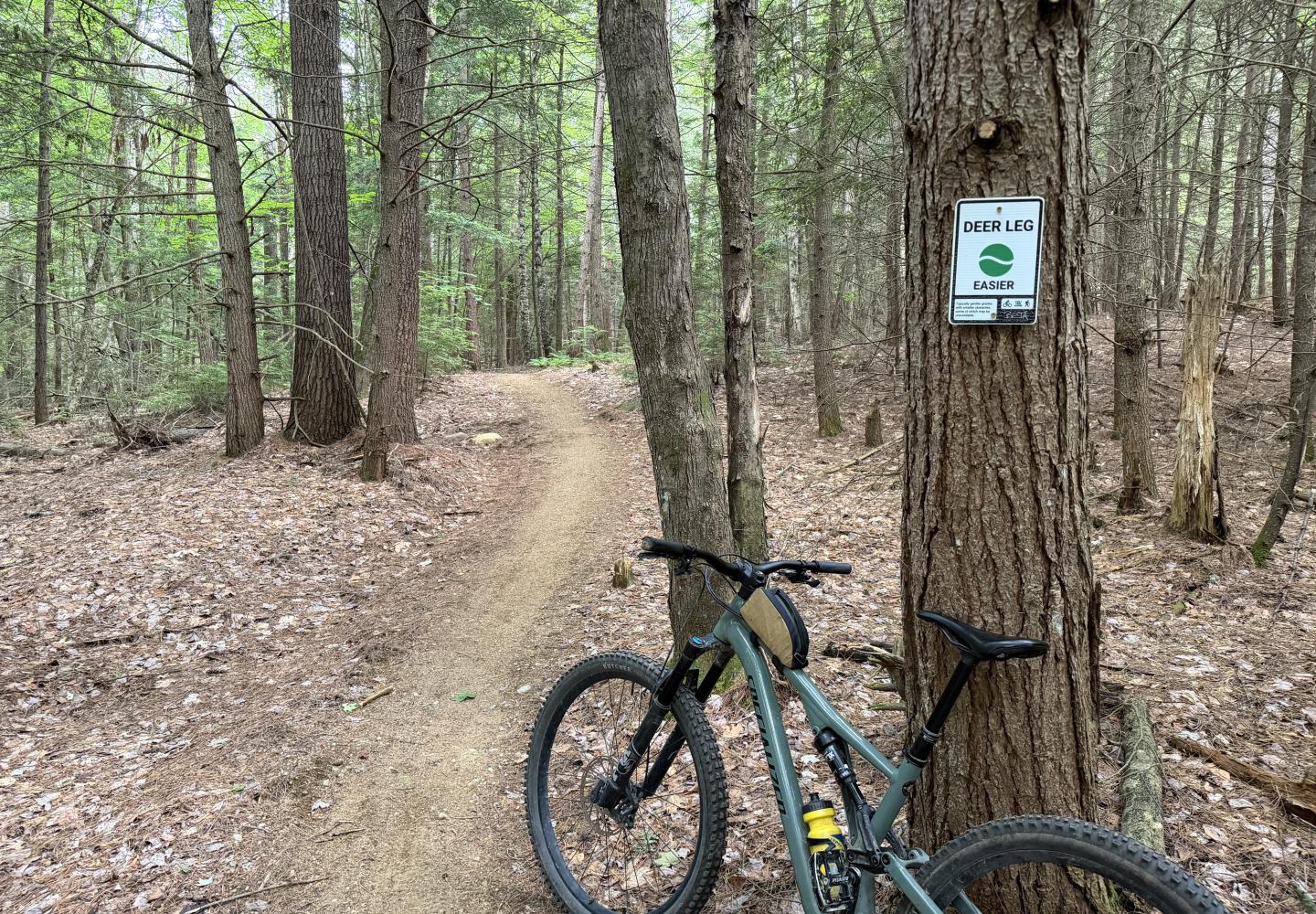 The start of the new climbing trail at Blueberry Hill