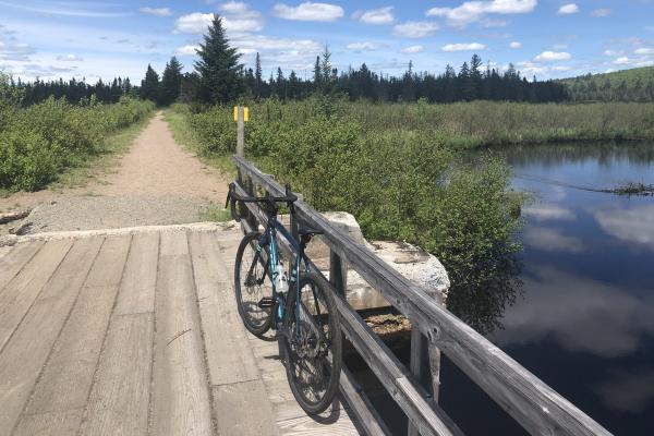 Stopping at Two Bridge Brook on the Bloomingdale Bog Trail. 