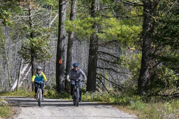 Handlebarley Highlights