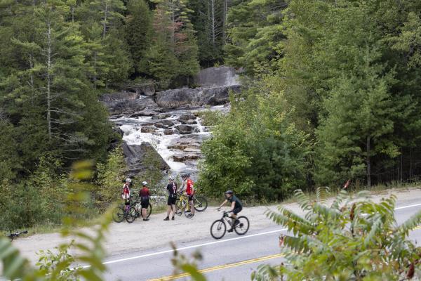 Handlebarley Highlights