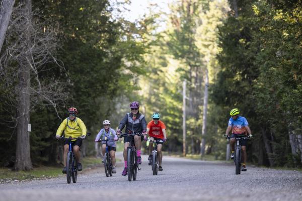 Handlebarley Highlights