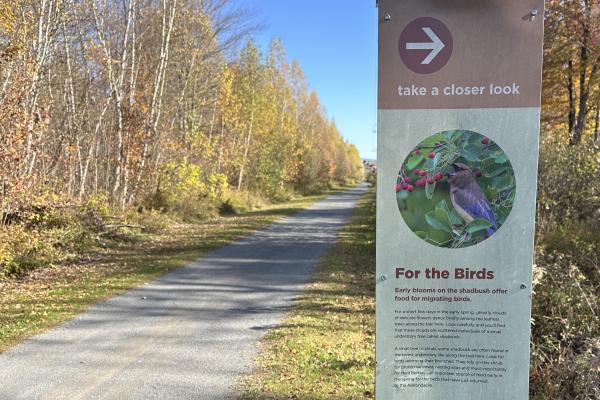 Next stop Tupper Lake on the Adirondack Rail Trail