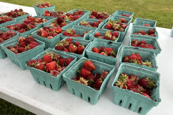 Highlights from the Adirondack Women's Weekend