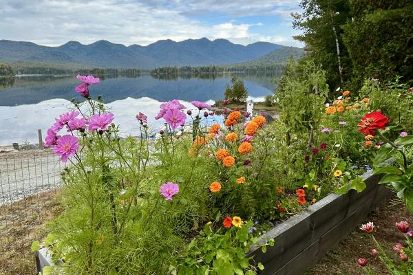 Handlebarley Highlights