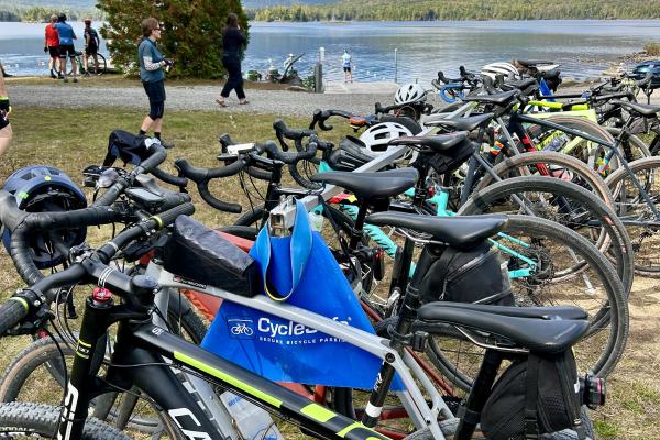 Handlebarley Highlights