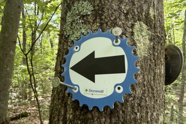 The 523-acre state forest, located in northern Saratoga County, is known for old-school, hand-made trails with many technical challenges. 