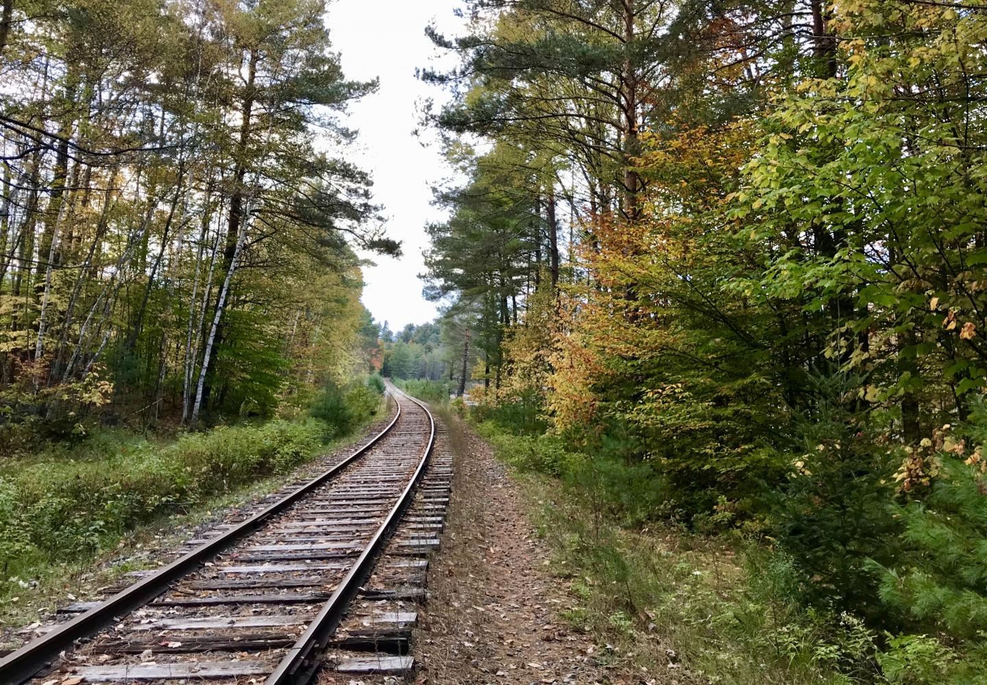 adirondack rail trail