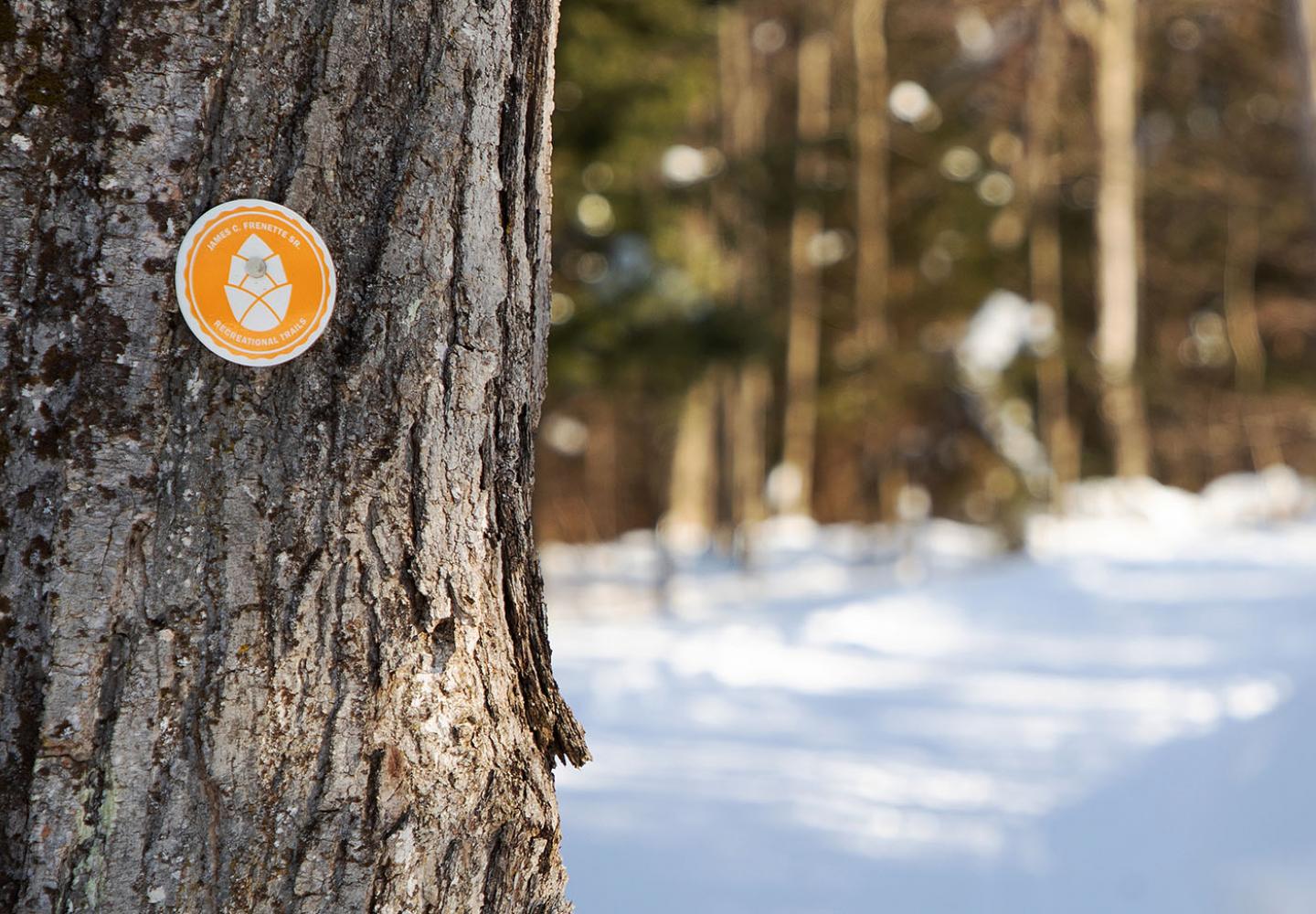 Tupper Lake Country Club Trail Marker