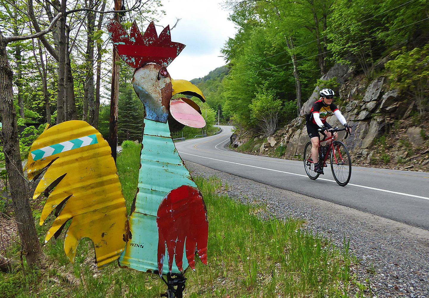 Sometimes you see a rooster along the road in the Central Adirondacks.