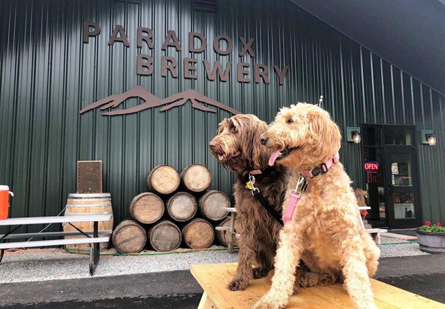 The Paradox Brewery welcome team