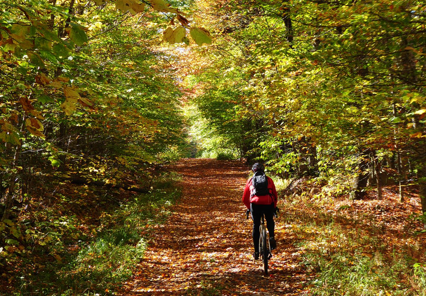 Fall riding in the Essex Chain.