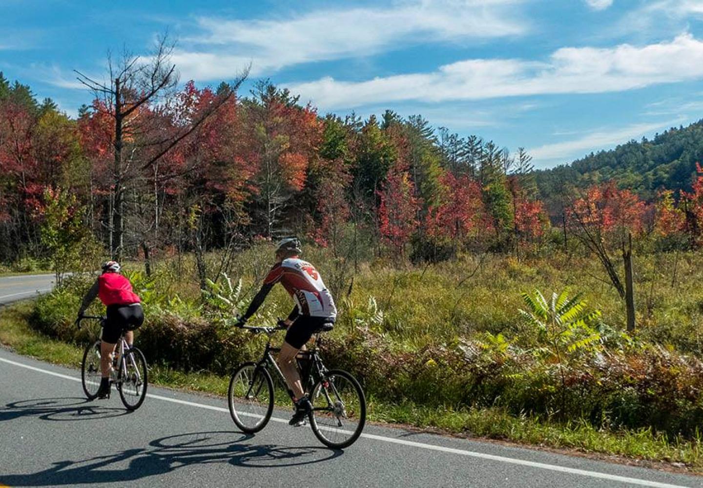 Enjoying this panorama? You could experience it next fall. 