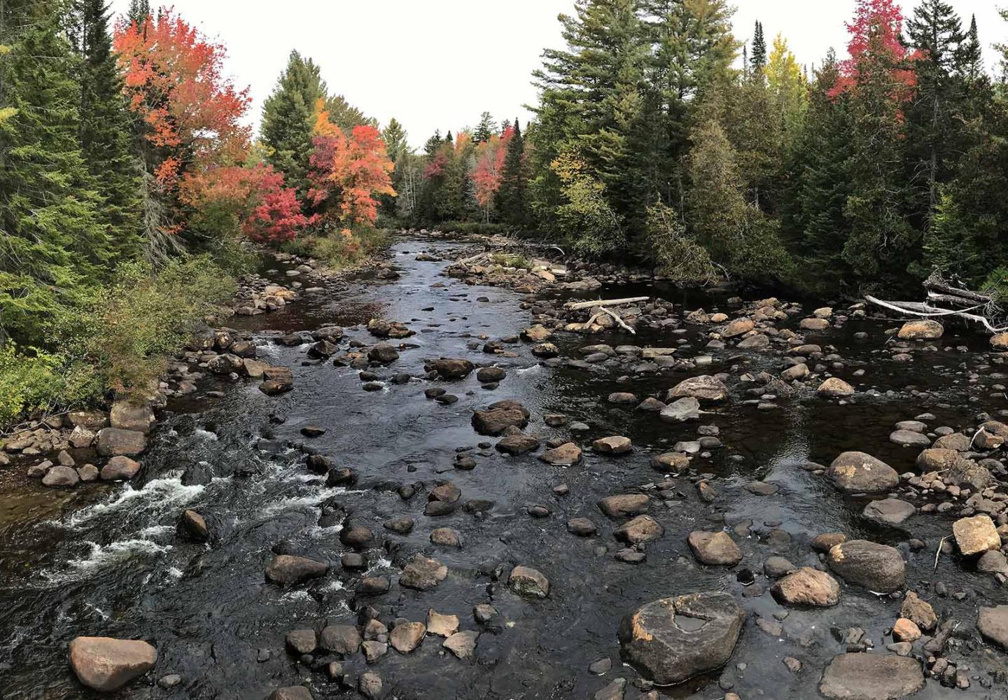 Views of the Hudson along the North Creek to Tahawus line.