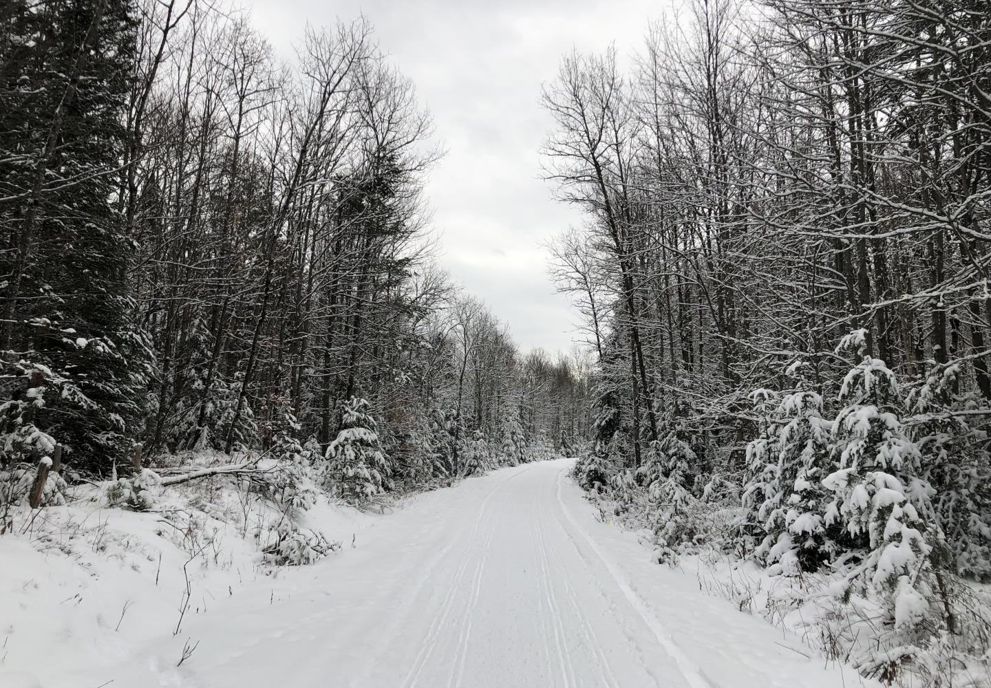 While most of the trail is wooded, there is plenty of water and mountain views along the way.