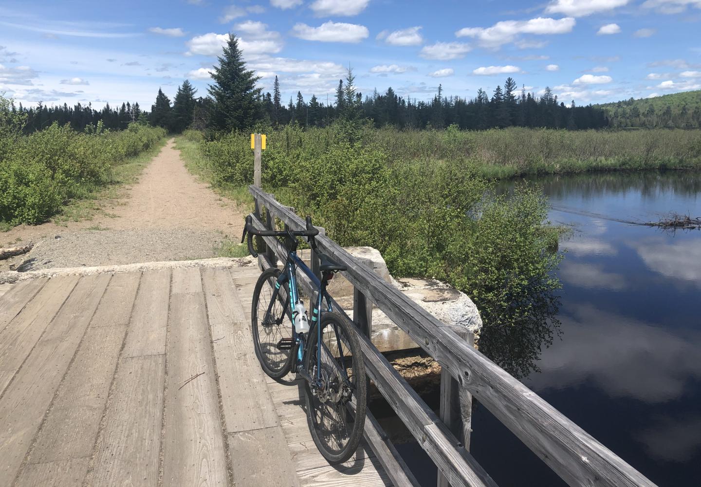 Stopping at Two Bridge Brook on the Bloomingdale Bog Trail. 