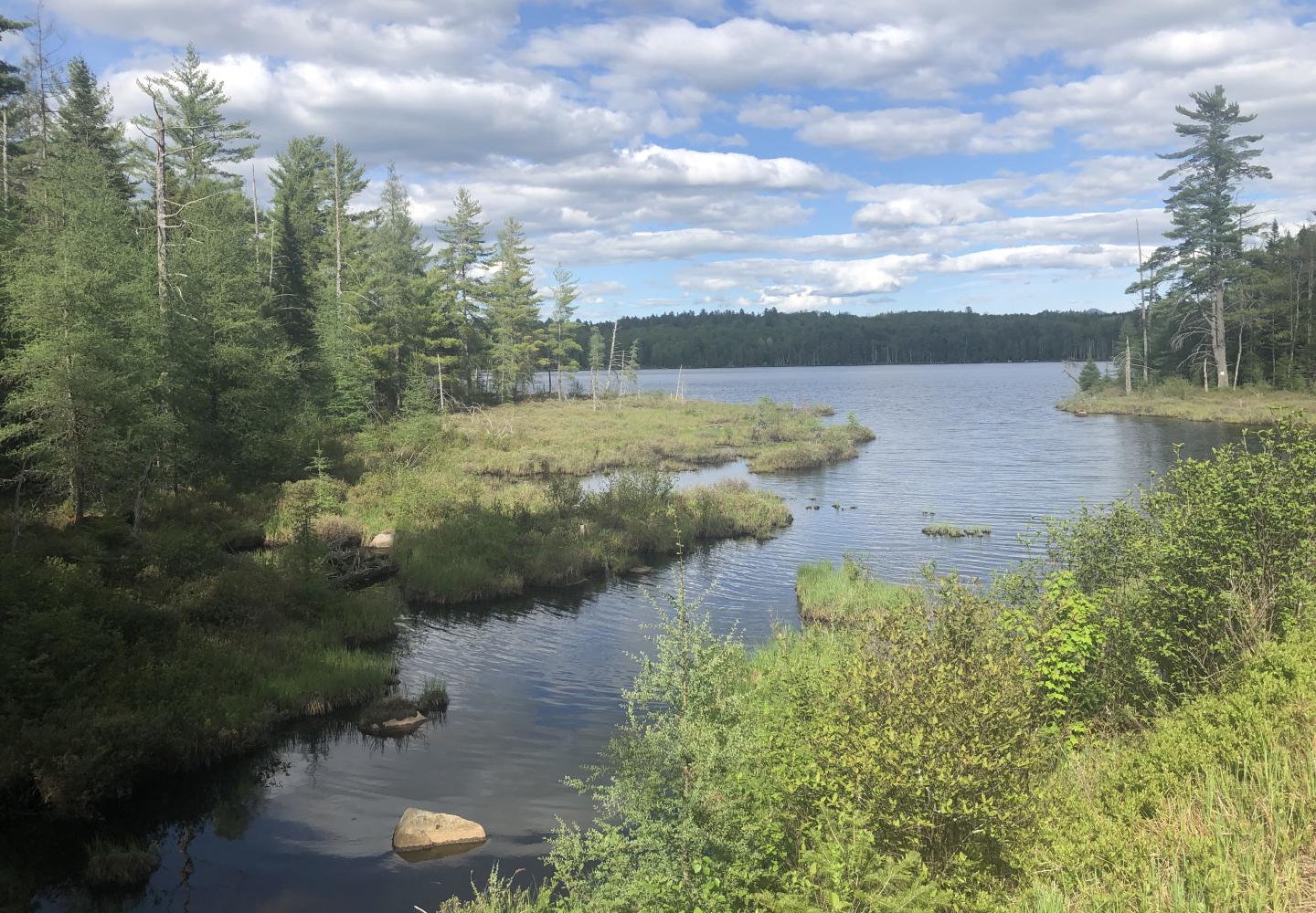 The Adirondack Rail Trail passes McCauley Pond a little east of McMaster Road.