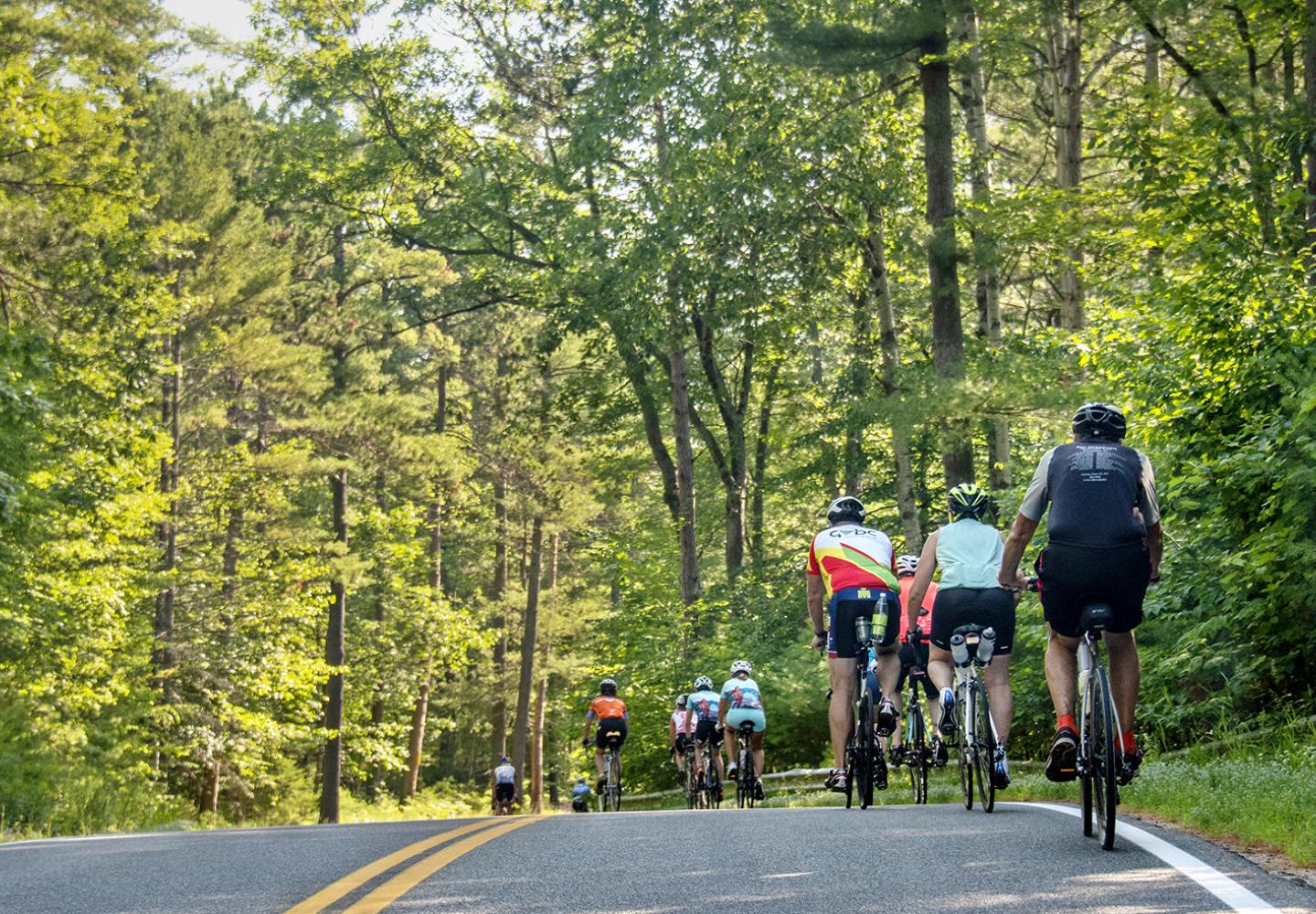 The cool treed canopy of one of the many Adirondack backroads. 