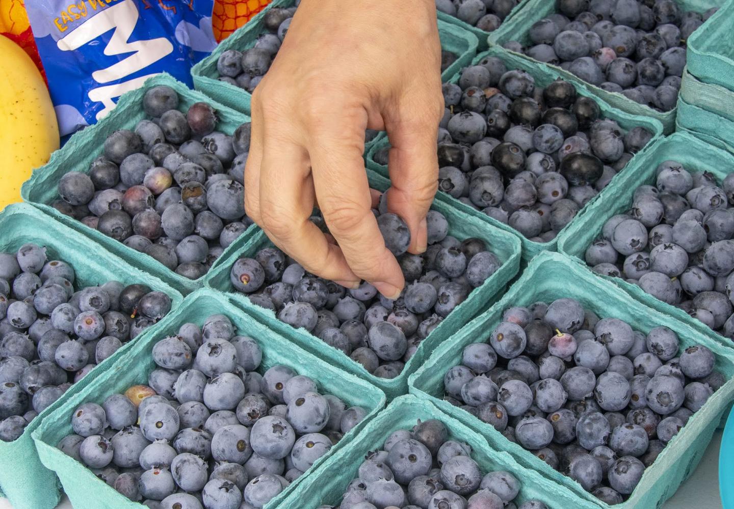 Why have a rest stop at a Farmer's Market, when you can have a rest stop at a Farmer's Market with fresh blueberries.