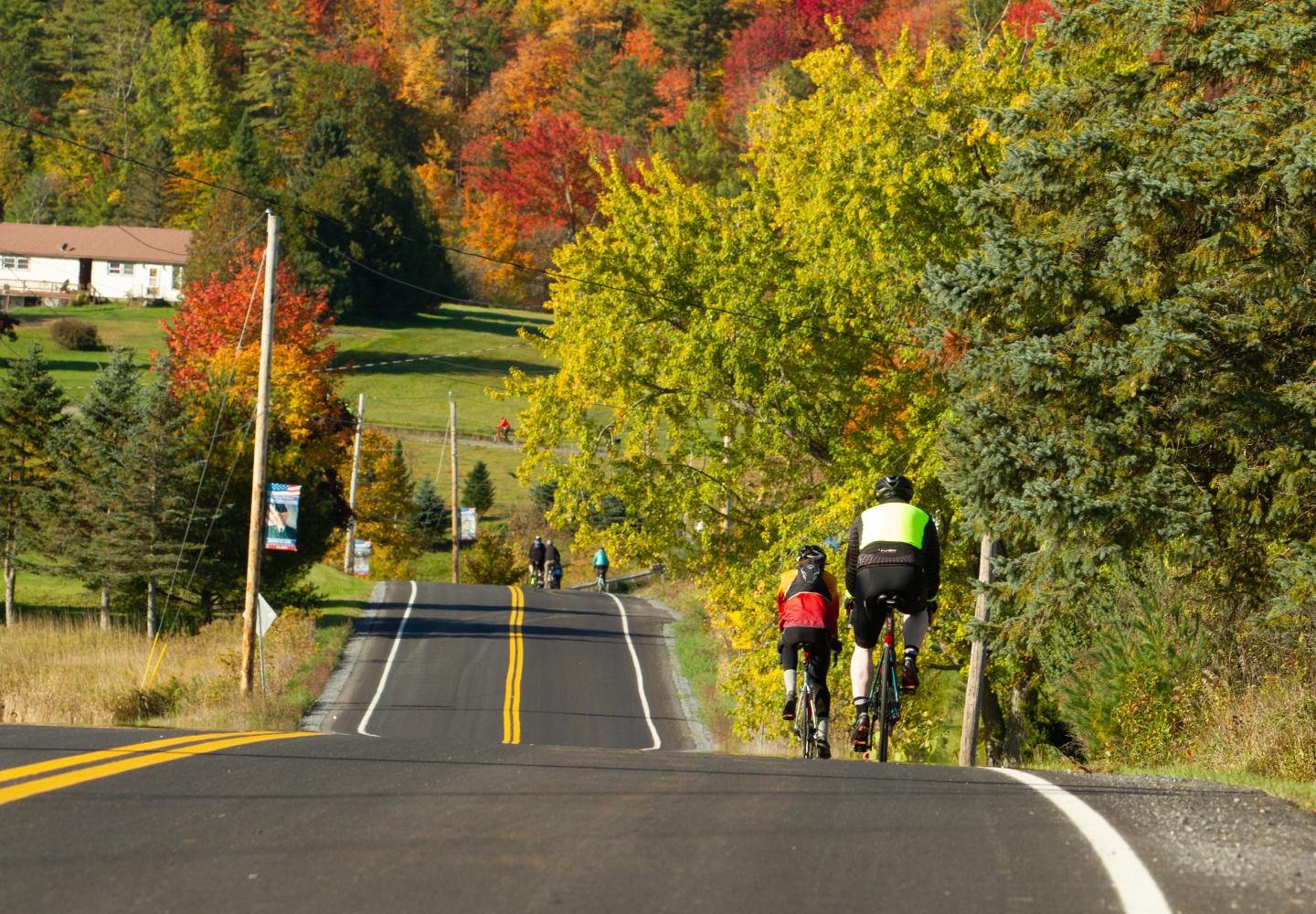 Rollers and country roads are like peas and carrots. 