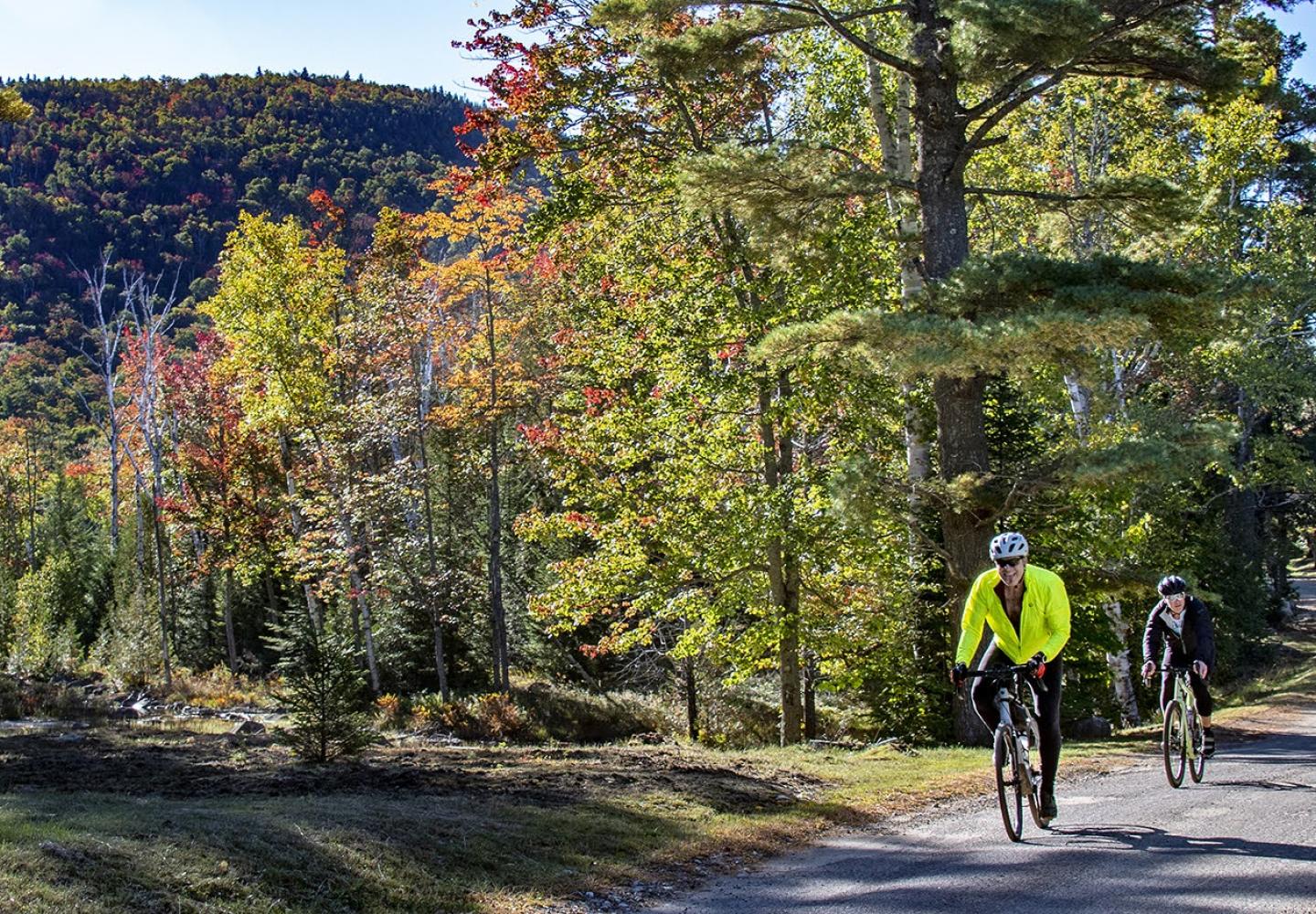 The fall canopy helps make this ride something special.