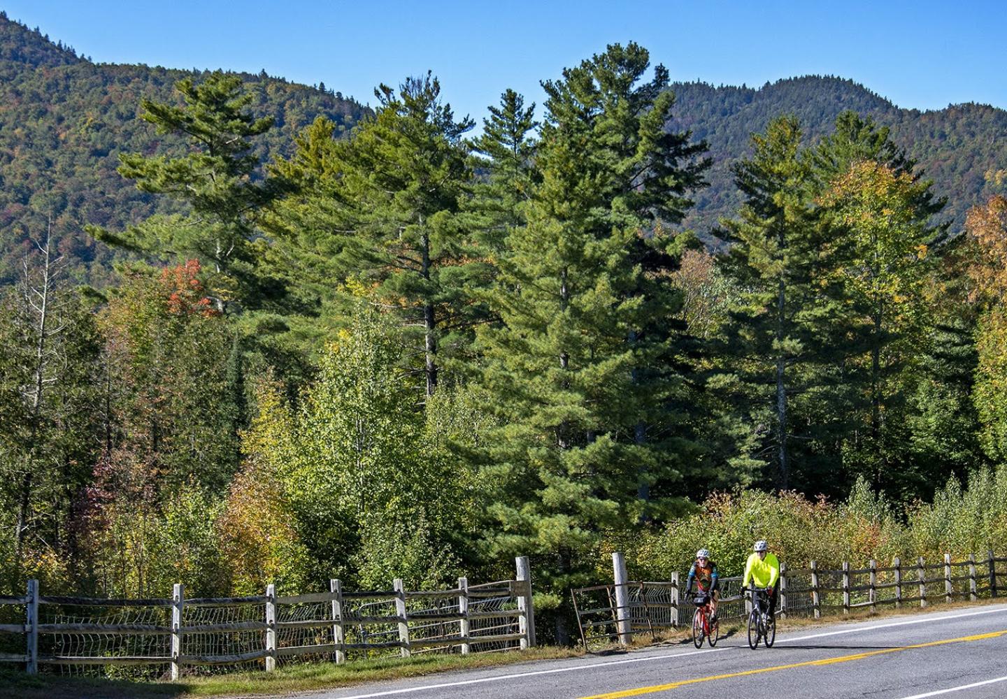 There is nothing like fall riding on roads like this. 