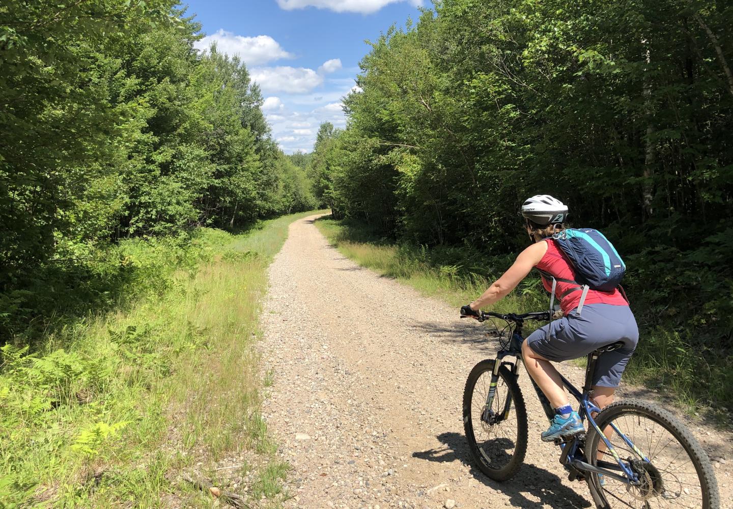 Liberty Road in summer. 