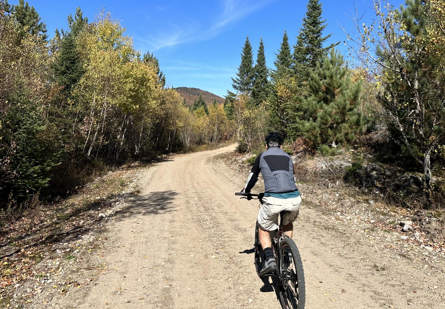 After an arduous climb, Tim Peartree enjoys a mellow stretch of the Liberty Road logging road in the Sable Highlands.