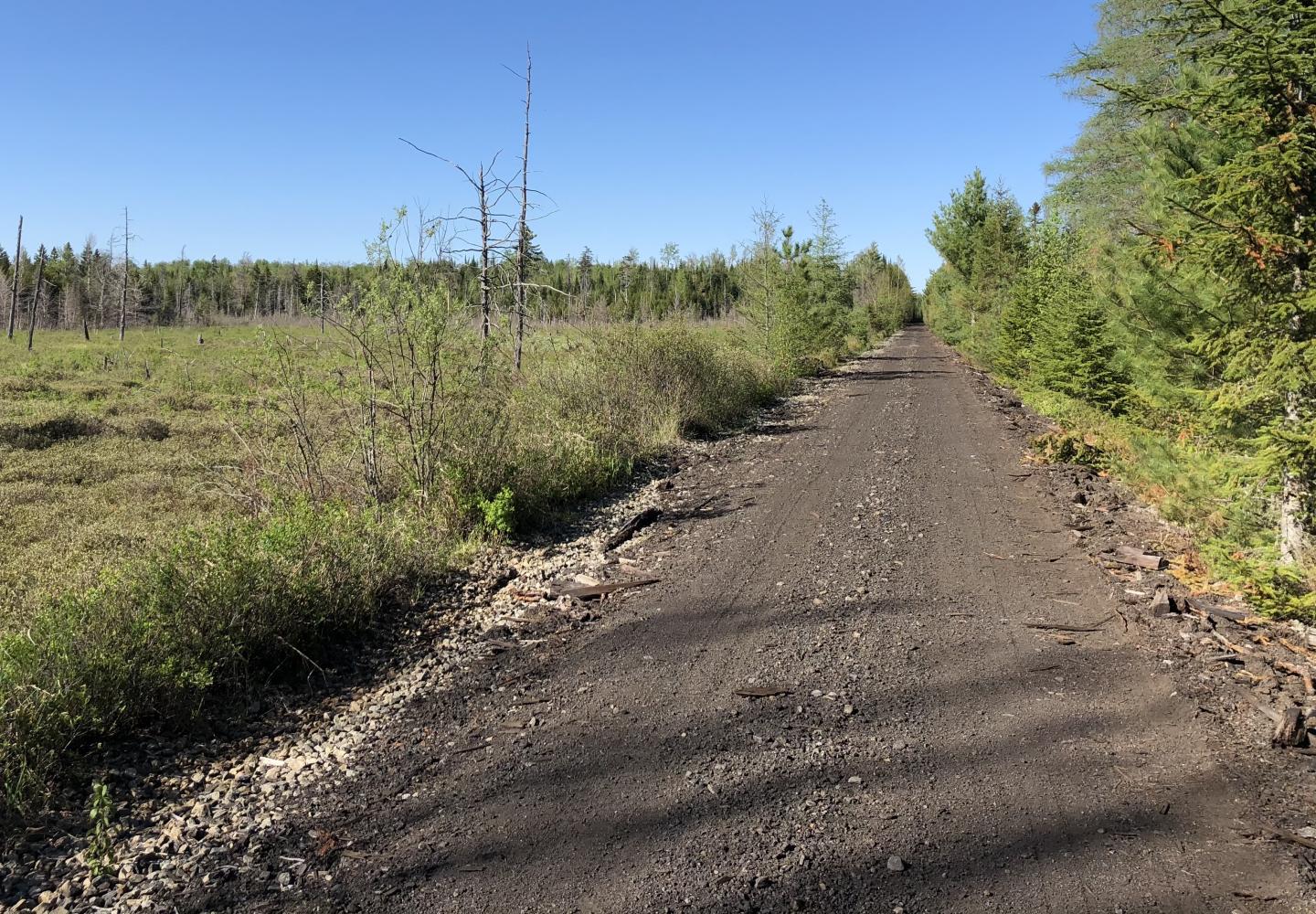 An unfinished section of the Adirondack Rail Trail along a wetland near Tupper Lake.