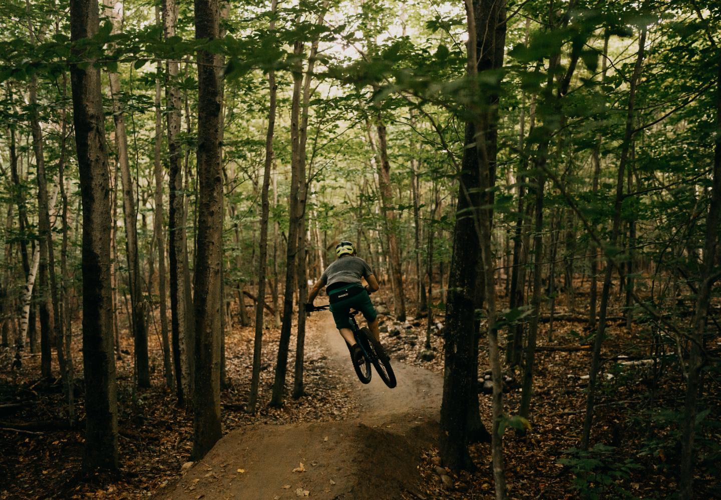 Barkeater Mountain Bike Network Adds Flow Trails Bike Adirondacks