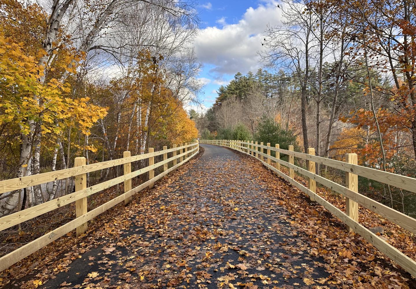 In sections that include a slope or in some cases are bordered by private property, wooden railing has been installed along the corridor.