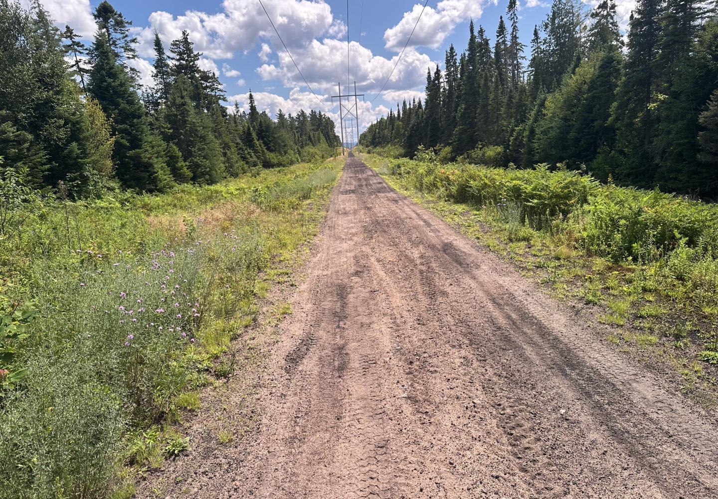 This loop begins on the bed of the former D&H Railroad.