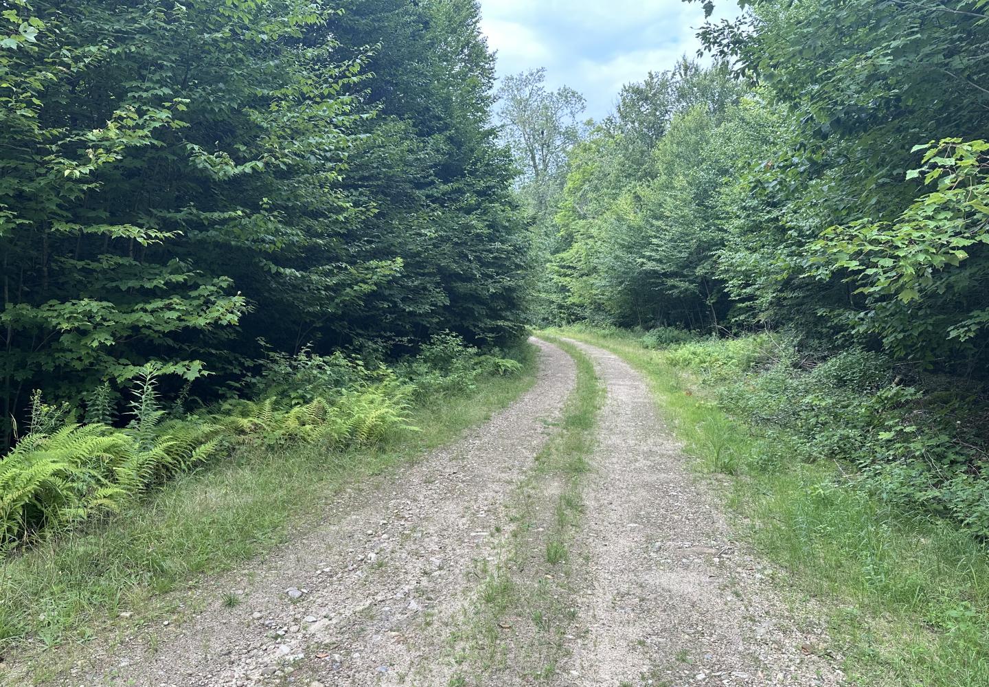 Riders will follow a logging road for a section near Paul Smith's College