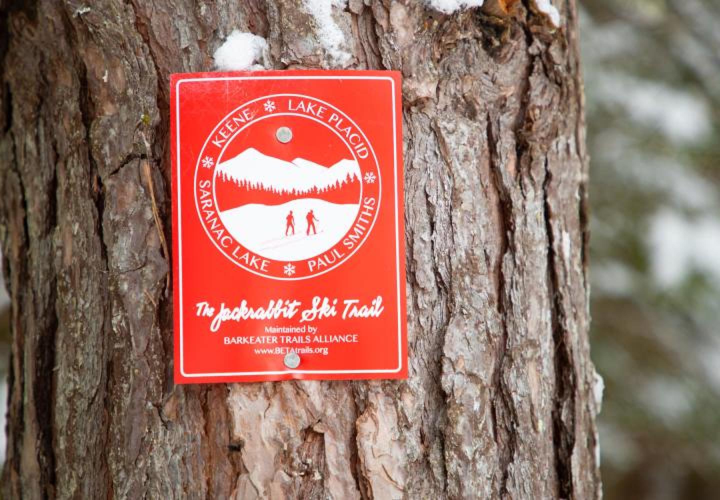 Signs, like this one mark the Jackrabbit section of the Gabriels Loop