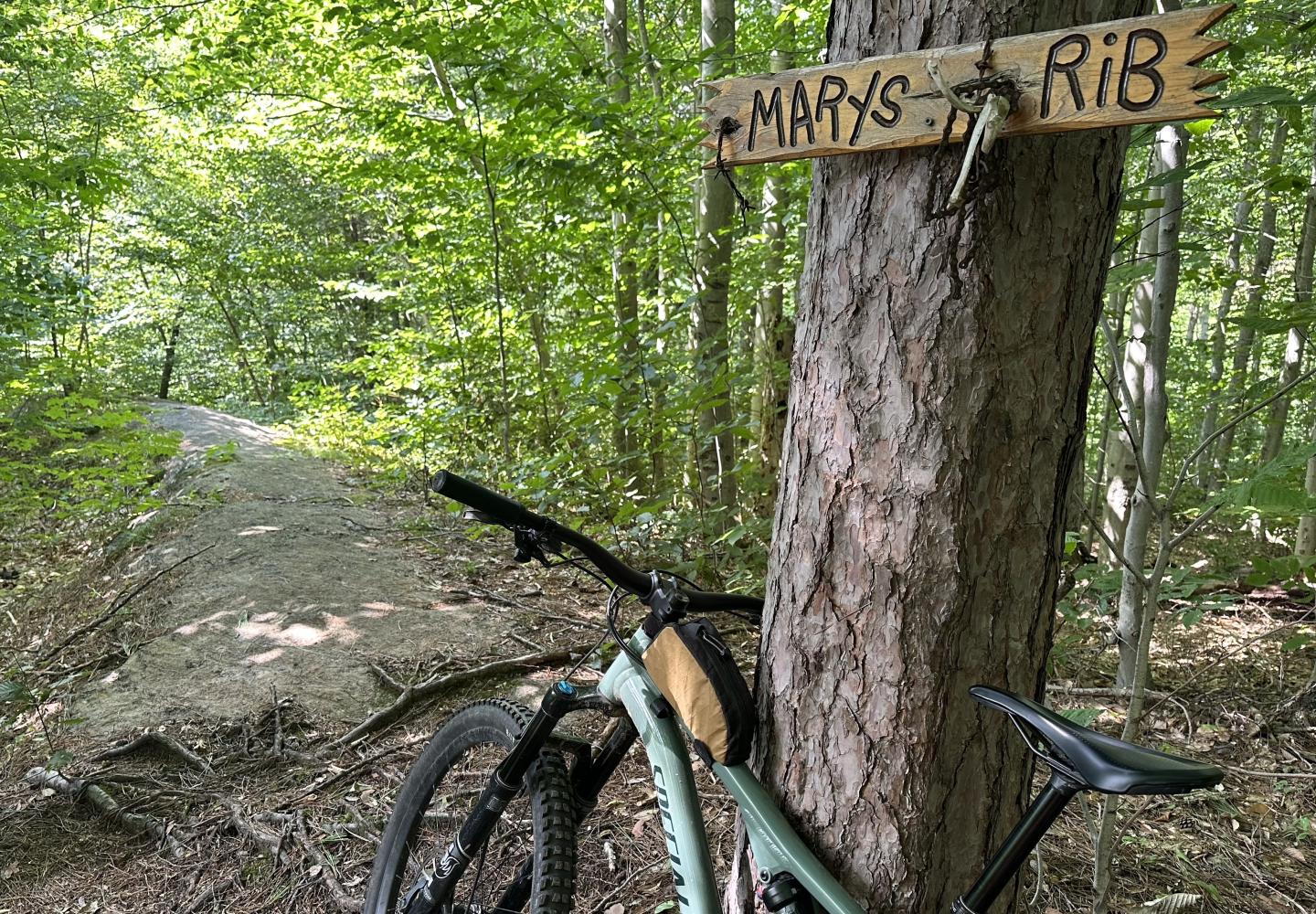 The descent of the Express trail begins on a narrow spine of bedrock dubbed Mary’s Rib.