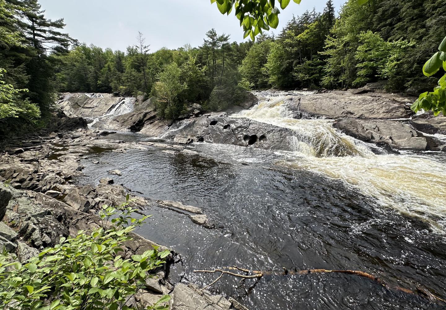 A view of the Raquette River from the Stone Valley trails.