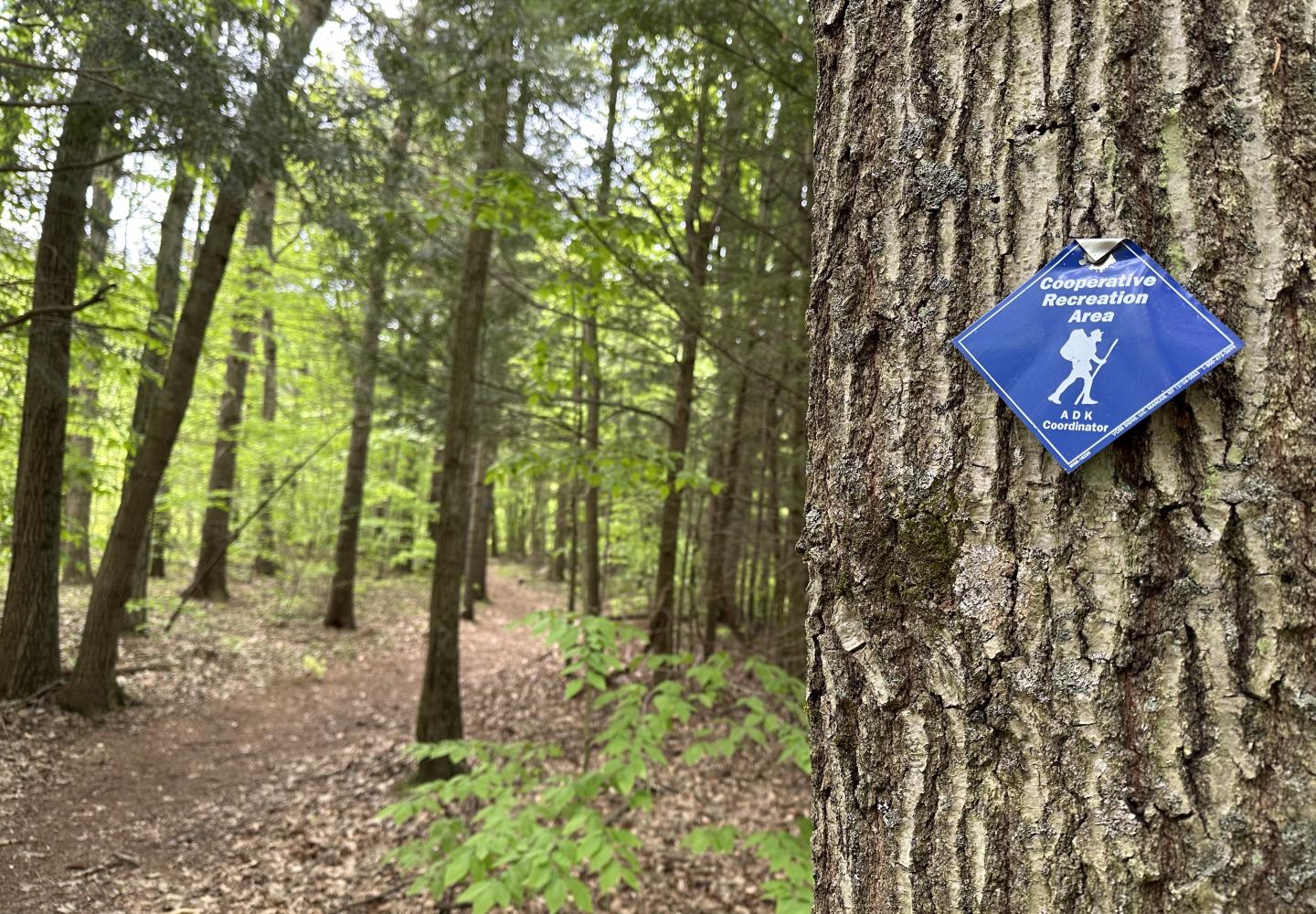 The Stone Valley trails form part of a loop ride that starts and ends on the Lenny Road bike trails.