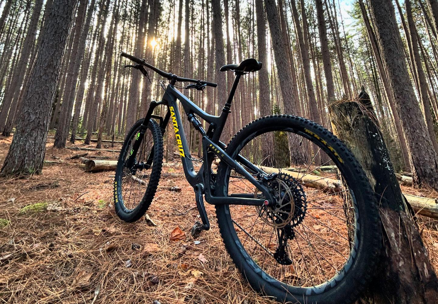 Towering white pines personify the Fowler's Crossing mountain bike network.