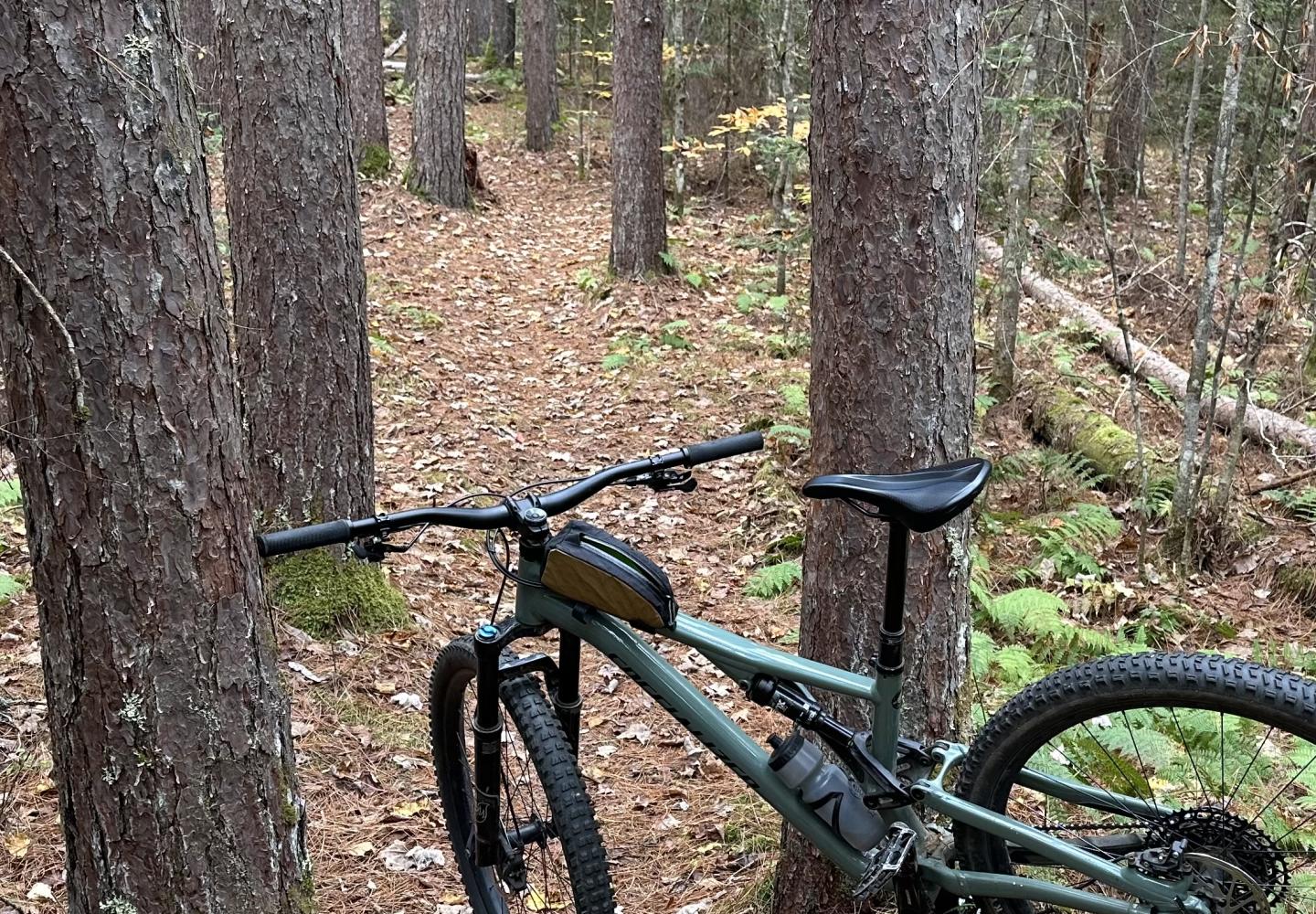 There's a few handlebar squeezers on the east side of the Fowler's Crossing mountain bike network.