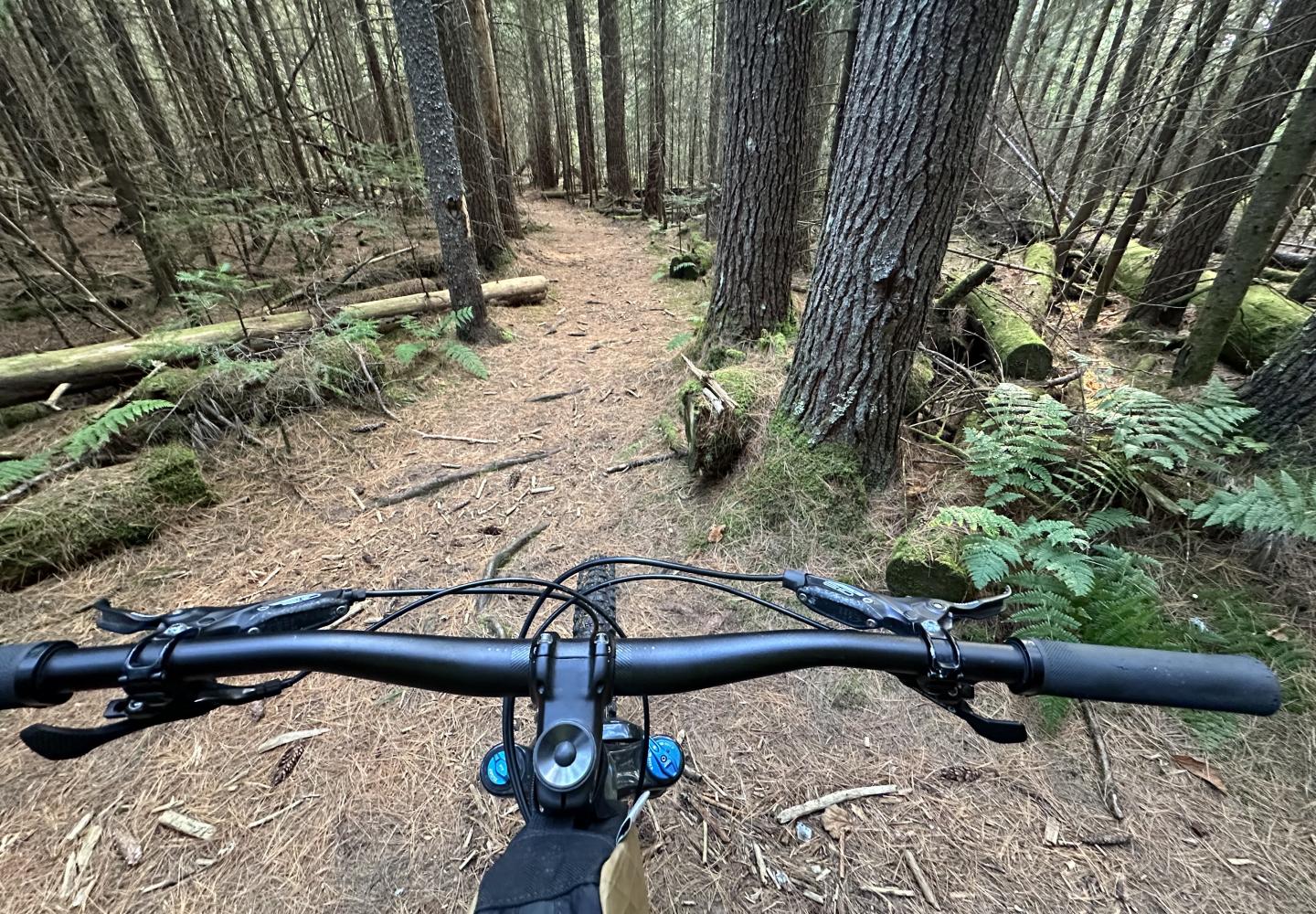 The Adirondack Rail Trail connects five different singletrack networks in Saranac Lake