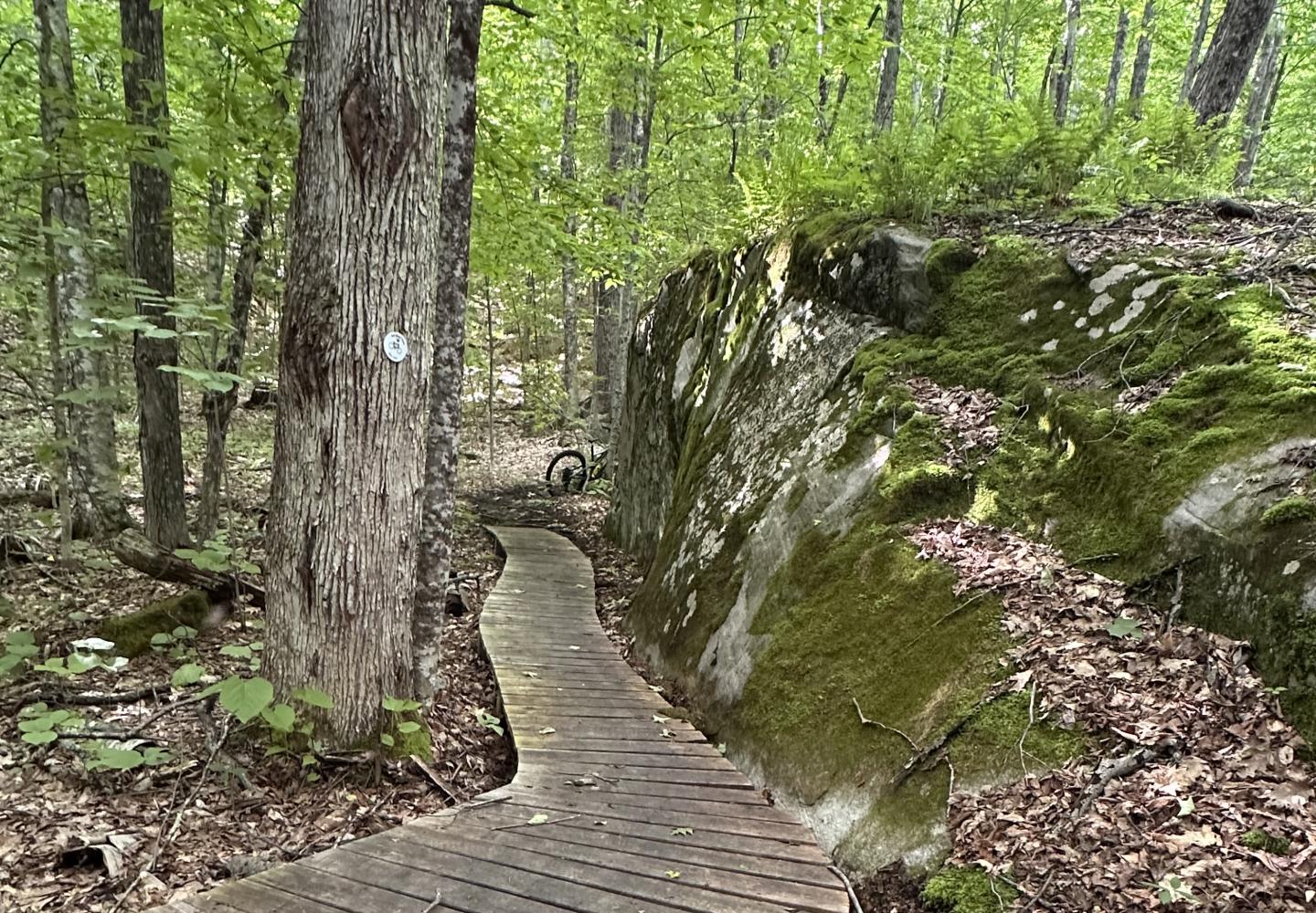 The North Creek Ski Bowl includes some fun wooden features.