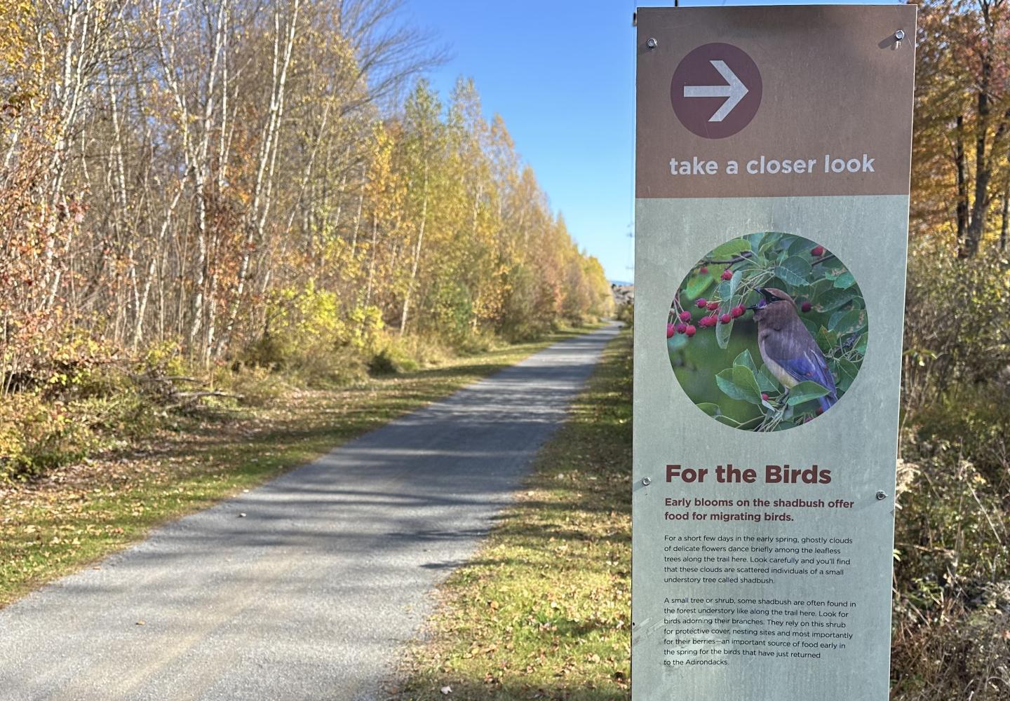 Explore downtown Tupper Lake from the Adirondack Rail Trail.