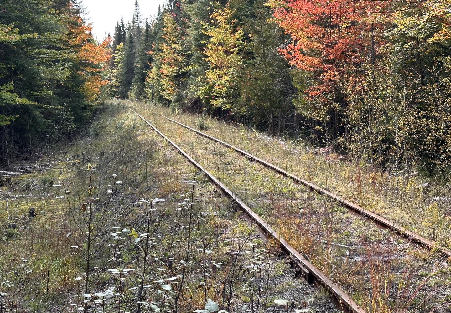 Abandoned railroad tracks near Tahawus, New York