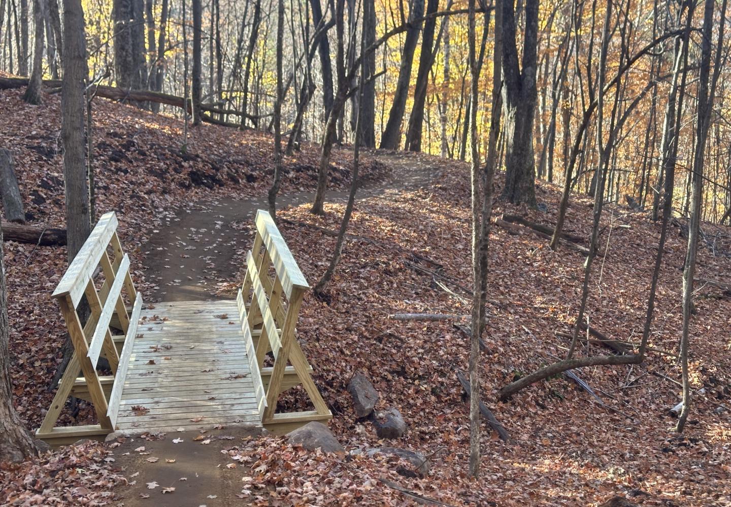 A new bridge at the East Branch Community Trails in Keene, NY