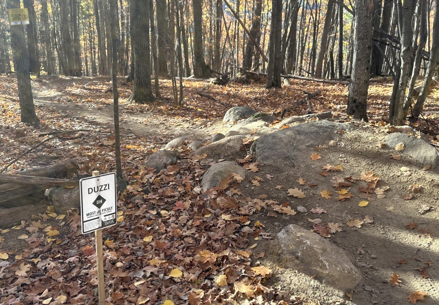 Watch that first step, it's a Duzzi.